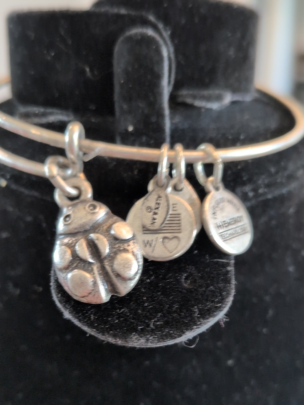 Alex and Ani Silver-Tone Charm Bangle with Floral Discs